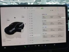 Tesla Model Y Rear-Wheel Drive - ფოტო 12