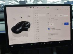 Tesla Model Y Rear-Wheel Drive - ფოტო 13