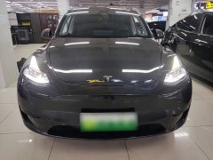 Tesla Model Y Rear-Wheel Drive - ფოტო 3