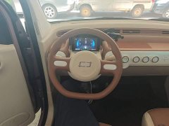 FAW Besturn Xiaoma 2026 222km Shining Edition - ფოტო 11