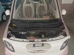 FAW Besturn Xiaoma 2026 222km Shining Edition - ფოტო 20