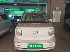 FAW Besturn Xiaoma 2026 222km Shining Edition - ფოტო 3