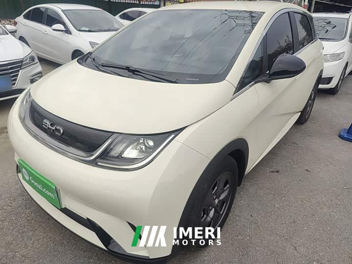 BYD Dolphin Glory Edition 302km Vitality Version - ავტომობილი ჩინეთიდან