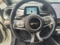 BYD Dolphin Glory Edition 302km Vitality Version - ფოტო 11
