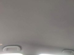 BYD Dolphin Glory Edition 302km Vitality Version - ფოტო 18