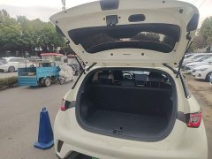 BYD Dolphin Glory Edition 302km Vitality Version - ფოტო 19