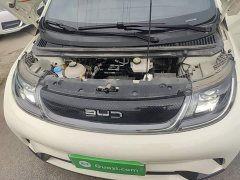 BYD Dolphin Glory Edition 302km Vitality Version - ფოტო 20