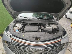 Haval Divine Beast 1.5T Smart Enjoy Edition - ფოტო 20