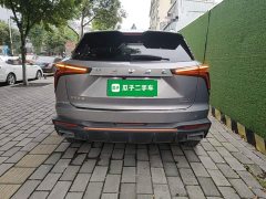 Haval Divine Beast 1.5T Smart Enjoy Edition - ფოტო 6