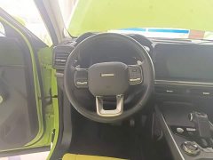 Haval Cool Dog 1.5T DCT AWD Trendy Wilderness Edition - ფოტო 11