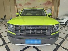 Haval Cool Dog 1.5T DCT AWD Trendy Wilderness Edition - ფოტო 3
