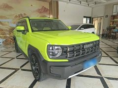 Haval Cool Dog 1.5T DCT AWD Trendy Wilderness Edition - ფოტო 4