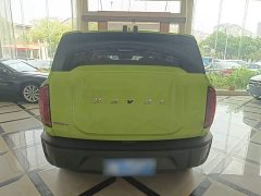 Haval Cool Dog 1.5T DCT AWD Trendy Wilderness Edition - ფოტო 6