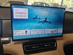 Jetour Jietu Shanhai L7 PLUS 2026 220km Elite 7-Seater - ფოტო 13