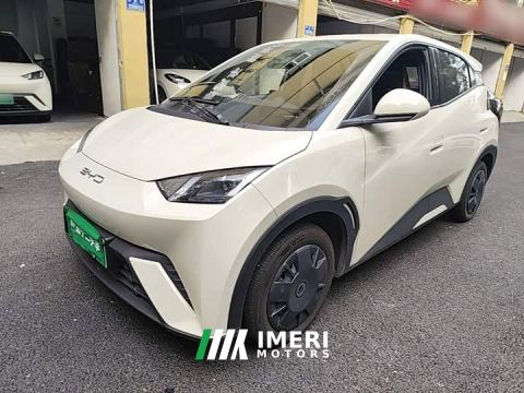 2024 BYD Seagull Glory Edition 305km Vitality Version - ავტომობილი ჩინეთიდან