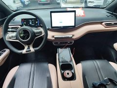 BYD Seagull Glory Edition 305km Vitality Version - ფოტო 10