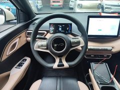 BYD Seagull Glory Edition 305km Vitality Version - ფოტო 11