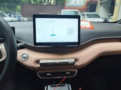 BYD Seagull Glory Edition 305km Vitality Version - ფოტო 13