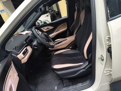 BYD Seagull Glory Edition 305km Vitality Version - ფოტო 15