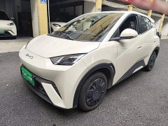 BYD Seagull Glory Edition 305km Vitality Version - ფოტო 2