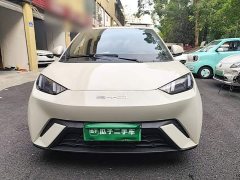 BYD Seagull Glory Edition 305km Vitality Version - ფოტო 3