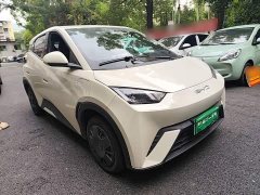 BYD Seagull Glory Edition 305km Vitality Version - ფოტო 4