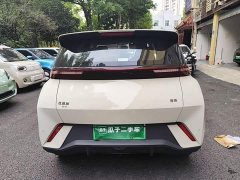 BYD Seagull Glory Edition 305km Vitality Version - ფოტო 6