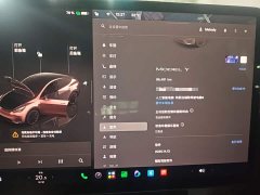 Tesla Model Y Rear-Wheel Drive - ფოტო 12