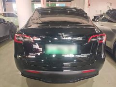 Tesla Model Y Rear-Wheel Drive - ფოტო 6