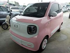 FAW Besturn Xiaoma 170km Vitality Edition - ფოტო 1