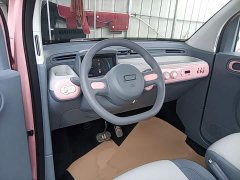 FAW Besturn Xiaoma 170km Vitality Edition - ფოტო 11