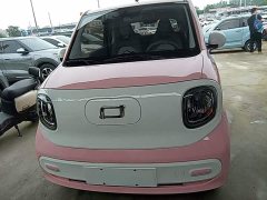 FAW Besturn Xiaoma 170km Vitality Edition - ფოტო 3