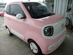 FAW Besturn Xiaoma 170km Vitality Edition - ფოტო 4
