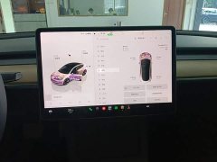 Tesla Model 3 Rear-Wheel Drive - ფოტო 13