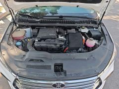 BYD Song MAX New Energy DM-i 105KM Premium Edition - ფოტო 17