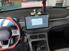 BYD Destroyer 05 DM-i 55KM Luxury - ფოტო 10