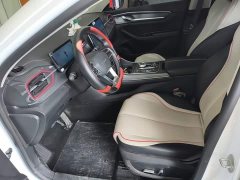 BYD Destroyer 05 DM-i 55KM Luxury - ფოტო 15