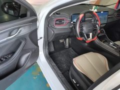 BYD Destroyer 05 DM-i 55KM Luxury - ფოტო 16