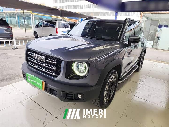 Great Wall Dachshund 2.0T DCT Four-Wheel Drive Chinese Rural Dog Edition - ავტომობილი ჩინეთიდან