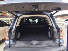 Great Wall Dachshund 2.0T DCT Four-Wheel Drive Chinese Rural Dog Edition - ფოტო 19