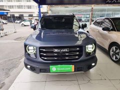 Great Wall Dachshund 2.0T DCT Four-Wheel Drive Chinese Rural Dog Edition - ფოტო 3