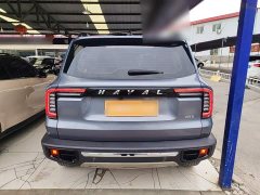 Great Wall Dachshund 2.0T DCT Four-Wheel Drive Chinese Rural Dog Edition - ფოტო 6