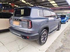 Great Wall Dachshund 2.0T DCT Four-Wheel Drive Chinese Rural Dog Edition - ფოტო 7