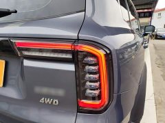 Great Wall Dachshund 2.0T DCT Four-Wheel Drive Chinese Rural Dog Edition - ფოტო 8