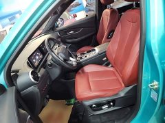 Dongfeng Fenghang T5 EVO 1.5TD DCT Star Shine Edition - ფოტო 15