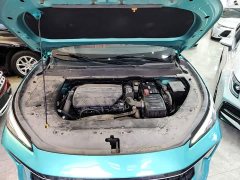 Dongfeng Fenghang T5 EVO 1.5TD DCT Star Shine Edition - ფოტო 20
