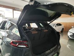 BYD Tang New Energy DM-i 112KM Premium Edition - ფოტო 19