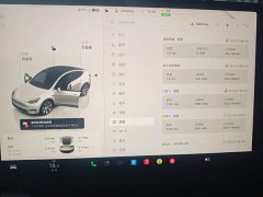 Tesla Model Y Rear-Wheel Drive - ფოტო 12