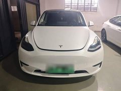 Tesla Model Y Rear-Wheel Drive - ფოტო 3