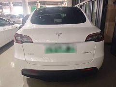Tesla Model Y Rear-Wheel Drive - ფოტო 6